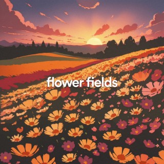 flower fields