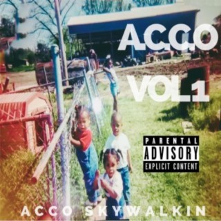A.C.C.O.Vol. 1