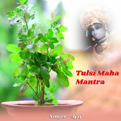Tulsi Krishna Mantra Sakal
