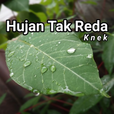 Hujan Tak Reda | Boomplay Music