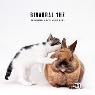 Binaural 1Hz Frequency for Your Pets (Binaural Beats with Delta Waves, Relax Dogs and Cat)