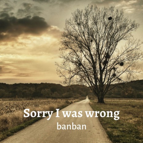 Sorry I was wrong | Boomplay Music