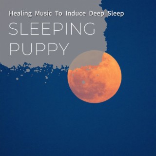 Healing Music to Induce Deep Sleep