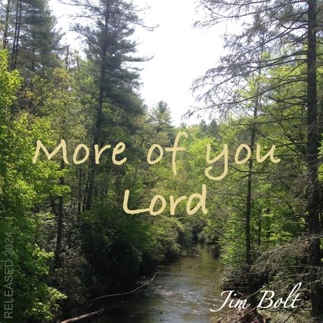 More of you Lord | Boomplay Music