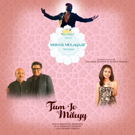 Tum Jo Mileyy ft. Shameer Tandon | Boomplay Music