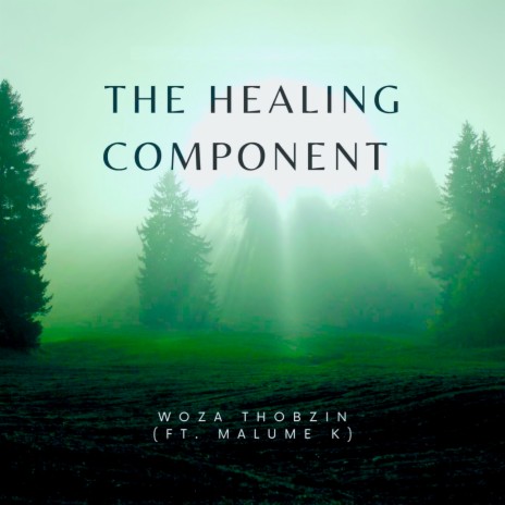 The Healing Component ft. Malume K | Boomplay Music