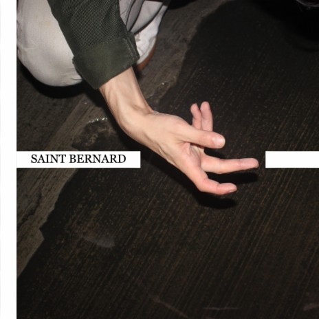SAINT BERNARD | Boomplay Music