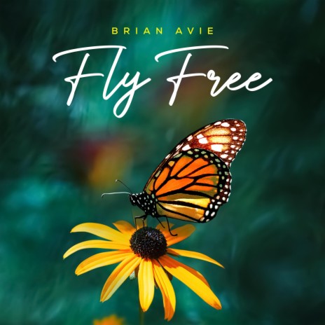 Fly Free | Boomplay Music