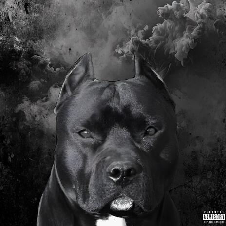 Big Dawg | Boomplay Music