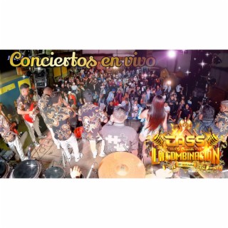 Conciertos en vivo (En vivo)