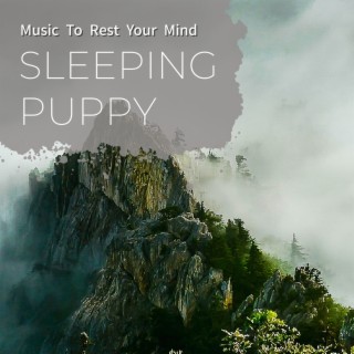 Music to Rest Your Mind