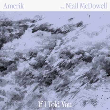 If I Told You ft. Niall McDowell | Boomplay Music