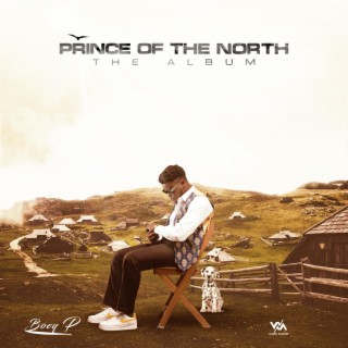 Prince Of The North | Boomplay Music