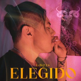 Elegido