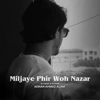 Miljaye Phir Woh Nazar (Lofi Version)