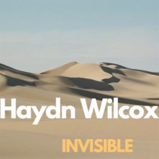 Haydn Wilcox