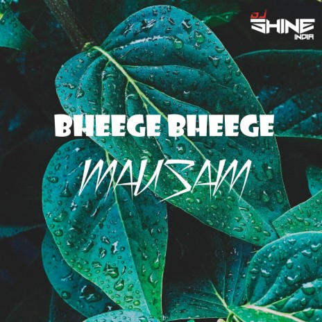Bheege Bheege Mausam | Boomplay Music