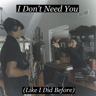 I Don't Need You ft. Diana Oliveira & Sergio Da Silva lyrics | Boomplay Music