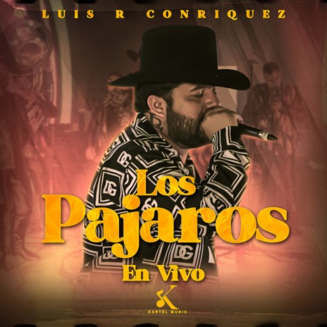 Los Pajaros (En Vivo) | Boomplay Music