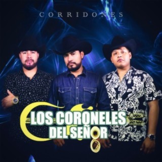 CORRIDONES