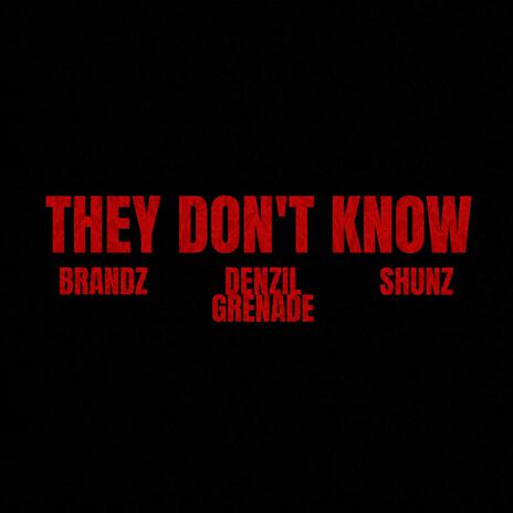 They Don't Know ft. Shunz & Brandz | Boomplay Music