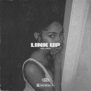 Link Up lyrics | Boomplay Music