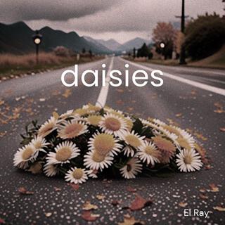 daisies