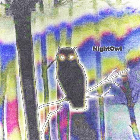 night owl. | Boomplay Music