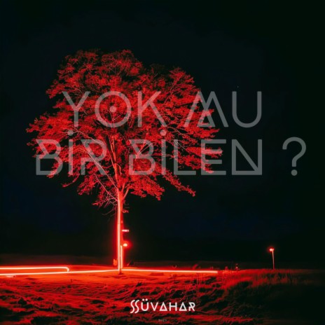 Yok mu Bir Bilen ? | Boomplay Music