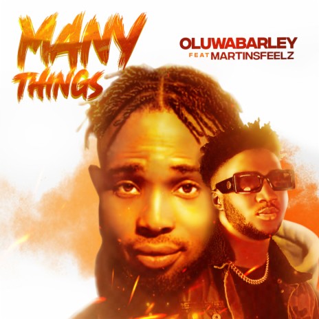 Many Things ft. Martinsfeelz | Boomplay Music
