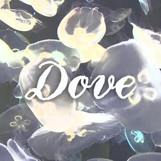 Dove