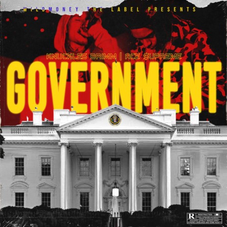 Government ft. Ace $upreme | Boomplay Music