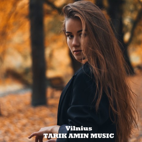 Vilnius | Boomplay Music