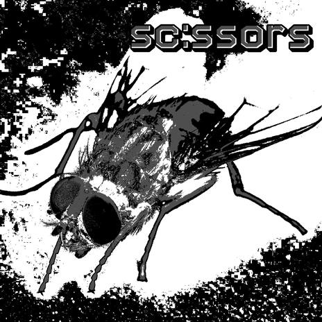 corpse flies | Boomplay Music