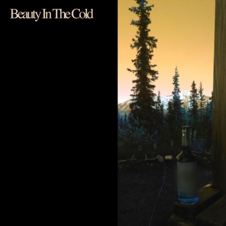 Beauty In The Cold | Boomplay Music