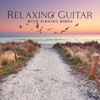 Relaxing Guitar with Singing Birds: Sunrise Meditation & Calming Nature Sounds