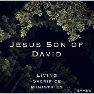 Jesus Son of David