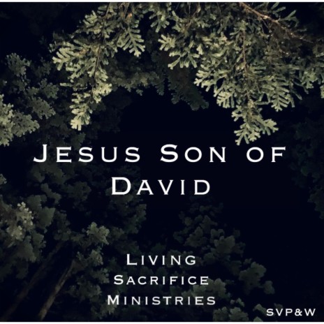 Jesus Son of David