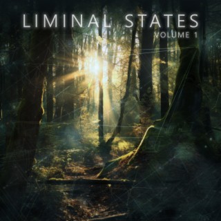 Liminal States: Volume 1