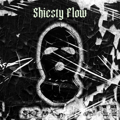 Shiesty Flow (Free Pooh Shiesty) | Boomplay Music