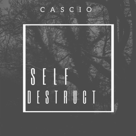 Self Destruct | Boomplay Music