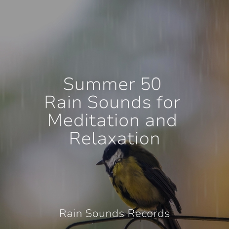 Enchanted Resonance ft. Rising Higher Meditation & New Age | Boomplay Music