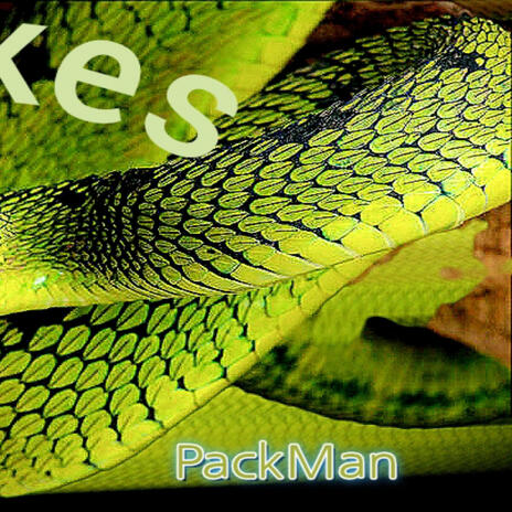 Snakes | Boomplay Music