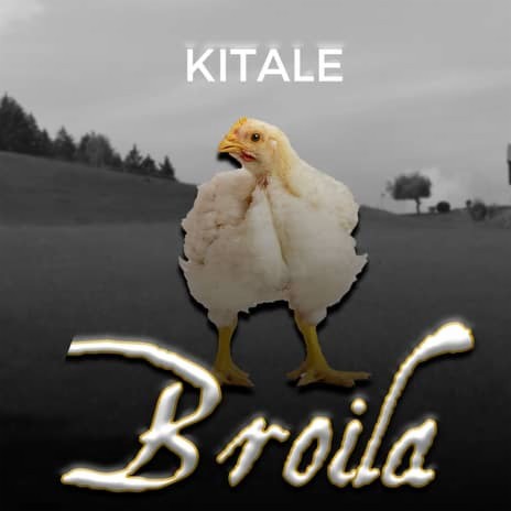 Kitale - Broila | Boomplay Music