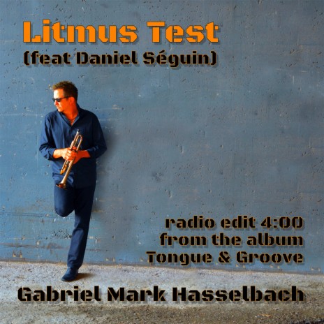 Litmus Test (Radio Edit) ft. Daniel Seguin | Boomplay Music