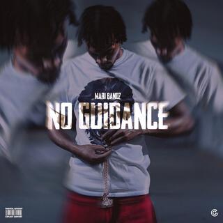 No Guidance