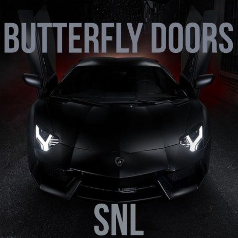 Butterfly doors