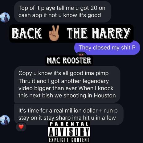 Back 2 The Harry | Boomplay Music