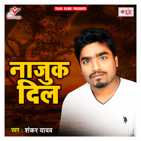 Najuk Dilawa Mor Ho | Boomplay Music