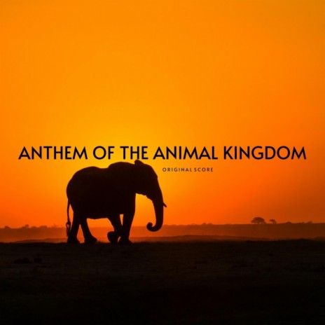 Anthem of the Animal Kingdom | Boomplay Music